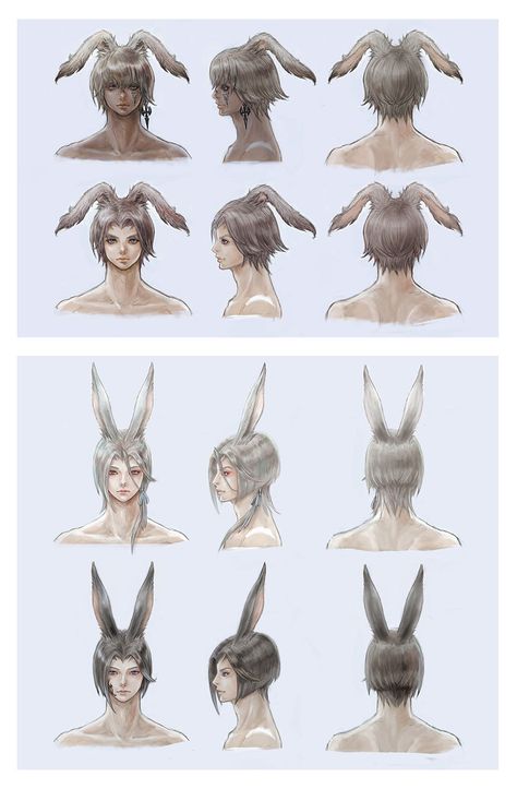 Male Viera Hairstyles Artwork - Final Fantasy XIV: Endwalker Art Gallery Fantasy Male Hairstyles, Viera Male, Male Viera, Viera Final Fantasy, Monster Ocs, Male Hairstyles, Hair Png, Athletic Hairstyles, Hairstyle Gallery