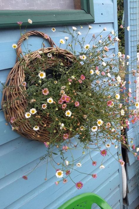 Cottage Garden In Pots, Unusual Garden Planters, Cottage Core Garden, Biodynamic Gardening, Garland Hanger, Cottagecore Garden, Hanging Plants Outdoor, Flowers In The Attic, Zen Garden Design