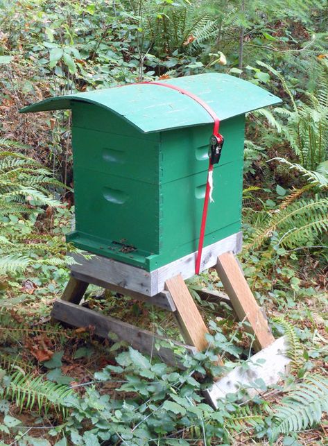 I like to shelter my hives from the rain. A sheltered hive gives the bees a dry… Backyard Beehive, Bee Yard, Bee Food, Bee Hive Plans, Rain Shelter, Backyard Bee, Mason Bees, Backyard Beekeeping, Insect Hotel