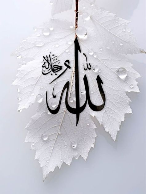 Allhamdulilah Beautiful Dp, Allah Dp For Whatsapp, Open Quran, Hajj Video, Wiccan Wallpaper, Support Pictures, Islamic Wallpaper Iphone, Cake Logo Design, Photo To Art