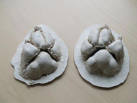 dog diy memory #dogdiymemory Dog Paw Print Art, Paw Print Crafts, Gross Things, Paw Print Art, Puppy Paw Prints, Bunny Mom, Dog Frames, Dog Enrichment, About Dogs