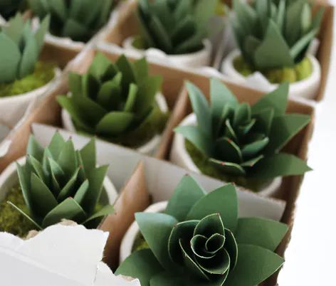 Make your own pretty paper succulents! | LoveCrafts Paper Carnations, Plants Classroom, Paper Succulents, Paper Plants, Paper Bouquet, Paper Quilling Designs, How To Make Paper Flowers, Floral Tape, Gift Toppers