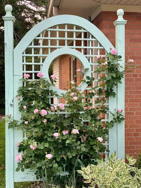 White Garden Trellis, French Trellis, Porch Trellis, Birdbath Garden, Decorative Fencing, Garden Obelisk, Trellis Ideas, Front Courtyard, Garden Arbor