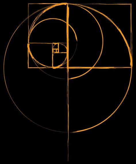 golden ratio art sacred geometry fibonacci spiral design Golden Ratio Symbol, Art With Circles Inspiration, Fibonacci Logo Design, Fibonacci Tattoo Golden Ratio, Fibonacci Logo, Golden Ratio Architecture, Fibonacci Sequence Art, Spiral Design Pattern, Spiral Design Art