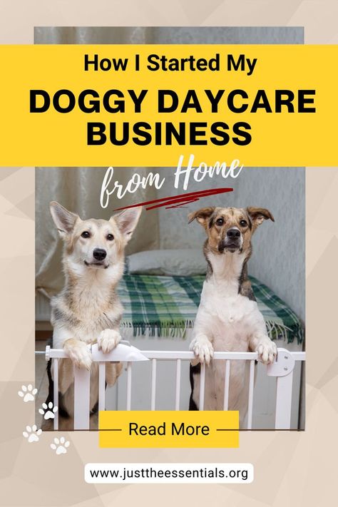 2 dogs in a doggy daycare. Opening A Dog Kennel Business, Dog Daycare Business Plan, In Home Dog Daycare Ideas, Pet Boarding Business Ideas, Doggie Daycare Ideas Business, Doggie Daycare Ideas, Doggy Daycare Ideas, Doggy Daycare Business, Kennel Business