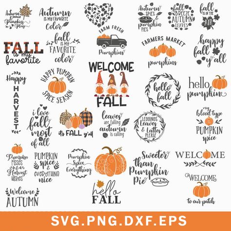 Pumpkin Mandala, Fall Svg Files, Fall Leaves Svg, Fall Cricut, Cricut Ornaments, Cricut Signs, Htv Projects, Silhouette Cameo Crafts, Cnc Ideas