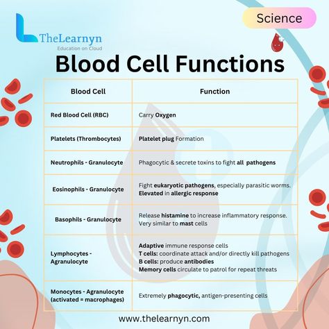 The Amazing World of Blood Cells! Dive into the microscopic universe of blood cells with us! 🧫 Let's unravel the incredible functions of these tiny powerhouses that keep our bodies running smoothly. From oxygen delivery to fighting off infections, blood cells are the unsung heroes of our circulatory system! Have you ever wondered what makes your blood flow smoothly through your veins, delivering oxygen and nutrients to every corner of your body? 🤔 It's all thanks to the remarkable teamw... Parts Of Blood, Medical Microbiology, Types Of Blood Cells, Function Of Blood, Nursing School Studying Cheat Sheets, Low White Blood Cells, Biology Diagrams, Nurse Study, Cell Parts