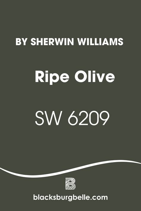 So, you’ve picked Sherwin Williams Ripe Olive but are unsure of how it will perform because of its deep shade. It’s ok to waver with indecision when you pick a dark paint color, especially if it’s for interior decor. However, I know something drew you to it in the first place. Olive Paint Color Sherwin Williams, Sw Ripe Olive Paint, Dark Olive Paint Color, Sherwin Williams Relentless Olive, Sherwin Williams Ripe Olive Paint, Sw Ripe Olive, Sherwin Williams Moscow Midnight, Sw Ripe Olive Coordinating Colors, Honed Soapstone Sherwin Williams