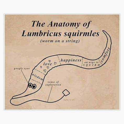 Amazon.com - The Anatomy of A Worm On A String Sticker Vinyl Bumper Sticker Decal Waterproof 5" Moist Meme, Worm On A String, String Earrings, Waterproof Sunscreen, Vinyl Bumper Stickers, Sticker Vinyl, Really Funny Pictures, Bumper Sticker, Make Me Happy