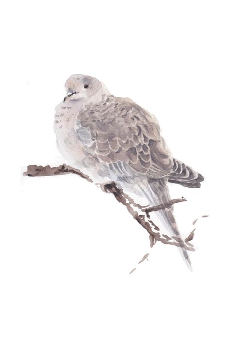 Watercolor painting of a white dove sitting on a branch. #watercolor #watercolorpainting #watercolorart #painting #dove #pigeon #animal #animalart #nature #bird #birdpainting Watercolor Dove, Dove Watercolor, Dove Painting, Presents For Dad, White Doves, Birds Painting, Watercolour Painting, Animal Art, Watercolor Art