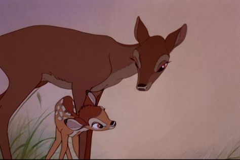 "BAMBI" (1942) Bambi and his Mother Bambi Film, Bambi 1942, Bambi 3, Bambi Disney, Bunny And Bear, Disney Animals, Old Disney, Classic Disney, Disney And Dreamworks