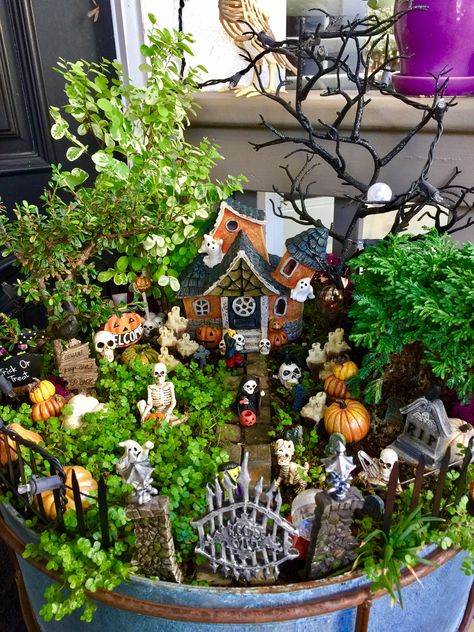 Halloween Fairy Garden Ideas Diy, Fairy Garden Halloween, Creepy Fairy Garden, Witchy Fairy Garden, Haunted Fairy Garden, Gothic Fairy Garden, Goth Fairy Garden, Halloween Fairy Garden Ideas, Spooky Fairy Garden