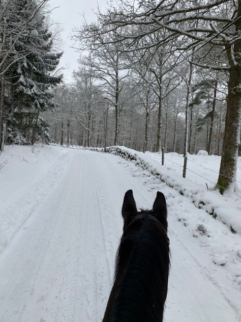 Winter Sunset Aesthetic, Horse Snow, Horse Girl Aesthetic, Aesthetic Evening, Horses In Snow, Horsey Life, Peaceful Heart, Equestrian Aesthetic, Horse Ears