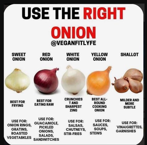 Do you know how to properly use an onion? If you've been doing it wrong, there's no shame, but once you swap out yellow onions for red onions, your guacamole game will never be the same! Types Of Onions, Food Info, Stir Fries, Food Facts, Eating Raw, Onion Rings, Cooking Ideas, Shallots, Baking Tips