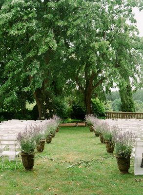 Lush #green wedding ceremony site in the Loire Valley (Photo by Elizabeth Messina) Loire Valley Wedding, Wedding Aisles, Potted Lavender, Countryside Wedding, Forest Garden, Ceremony Wedding, Fantasy Wedding, Ceremony Decor, Aisle Decor