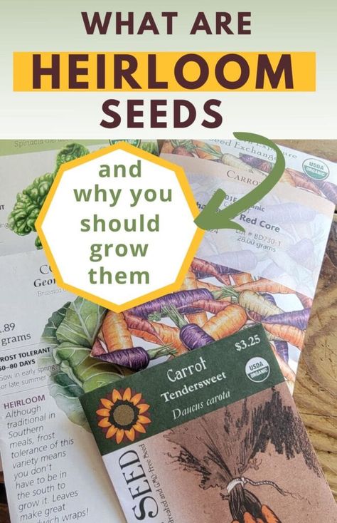 Now more than ever, growing heirloom seeds in your garden should be a main focus. Learn what they are and why it's critical that you grow them. Carrot Varieties, Sandwich Wraps, Daucus Carota, Buy Seeds, Heirloom Vegetables, Seed Catalogs, Seed Saving, Organic Gardening Tips, Growing Fruit