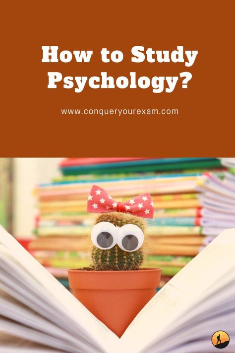 Psychology 101 Study, Intro To Psychology College, How To Study For Psychology, How To Study Psychology Tips, Psychology Study Tips, How To Study Psychology, Study Psychology, Studying Psychology, Intro To Psychology