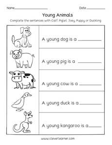 Animals and the names of their young ones worksheets for preschools Evs Worksheets For Grade 2 Animals, Homes Of Animals Worksheet, Animals And Their Young Ones, Young Ones Of Animals, Animals And Their Babies Worksheet, Classifying Animals Worksheet, Needs Of Animals Worksheet, Animals And Their Babies, Animal Types