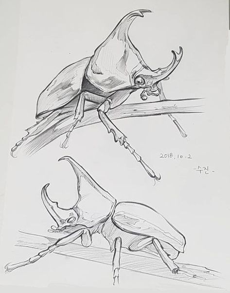 Pencil Drawing Ideas, Beetle Art, Insect Species, Tous Les Anime, Drawing Tutorial Face, Nature Sketch, Bug Art, Industrial Design Sketch, Creature Drawings