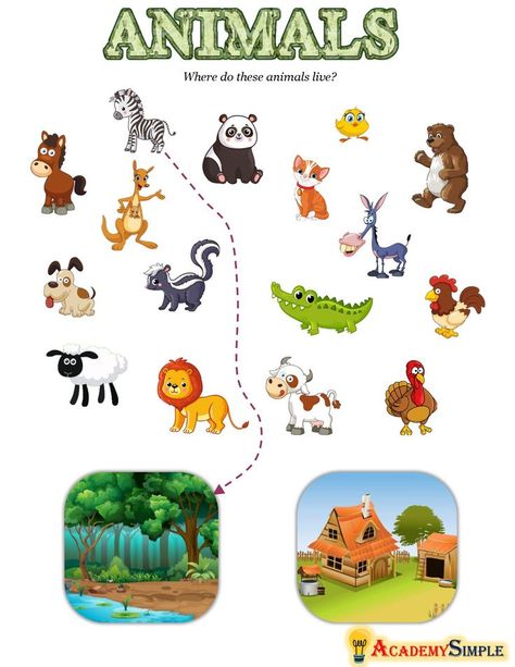 Farm And Wild Animals Activities, Farm And Wild Animals Worksheet, Domestic And Wild Animals Activities, Water Animals Worksheets For Kids, Domestic And Wild Animals Worksheets, Domestic Animals Worksheets For Kids, Wild Animals Craft, Wild Animals Activities For Kids, Animal Worksheets Preschool