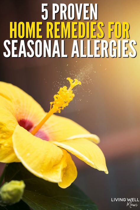 Home Remedies For Allergies, Allergy Remedies, Home Remedy For Cough, Watery Eyes, Natural Antibiotics, Seasonal Allergies, Natural Cough Remedies, Holistic Remedies, Cough Remedies