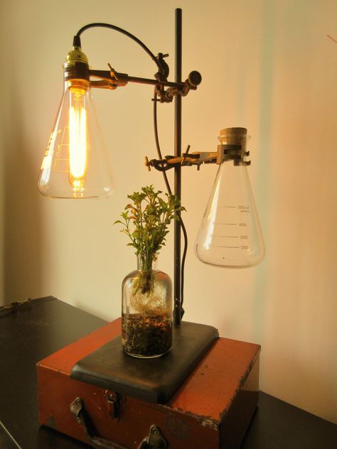 Dark Academia Laboratory, Old Science Lab Aesthetic, Steampunk Science Lab, Vintage Laboratory, Science Bedroom, Closed Terrarium Plants, Closed Terrarium, Solar Punk, Steam Punk Lamps Vintage Industrial