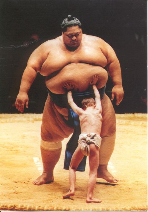 Sumo Wrestling David Vs Goliath, Funny Sports Pictures, Sumo Wrestler, Monday Memes, Monday Humor, Funny Happy, Sports Photos, Sports Humor, No Me Importa