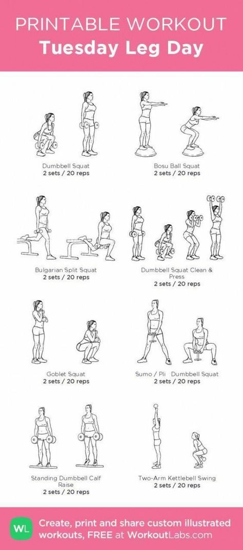 Women Gym Workouts, Leg Workout Plan, Gym Workout Plan, Workouts Women, Leg Workouts Gym, Workout Labs, Fitness Studio Training, Workout Gym Routine, Printable Workout