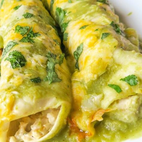 Best Green Chicken Enchiladas, Spinach Enchiladas Verde, Keto Green Enchiladas, Chicken Enchiladas For 2, Creamy Enchiladas Verdes, Authentic Green Enchiladas, Enchiladas Chicken Verde, How To Make Green Enchiladas, Chicken Enchiladas With Green Sauce Flour Tortillas