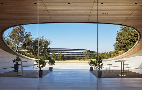 Exclusive photos reveal Apple's subterranean Apple Park Observatory Honeymoon House, Real Haunted Houses, Apple Park, One Step Beyond, Japandi Living, Foster Partners, Large Window, Wallpaper Magazine, Urban Oasis