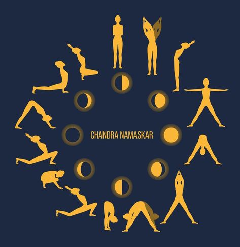 Chandra namaskar collection. Yoga practice Chandra Namaskar, Practice Yoga, Vector Clipart, Yoga Practice, Yoga Poses, Vector Art, Vector Free, Clip Art, Yoga