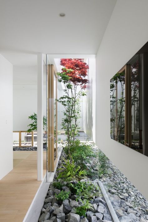 Green Edge House  / ma-style architects House Without Windows, Mini Loft, Internal Courtyard, Design Blogs, Indoor Gardens, Patio Interior, Small Garden Design, Interior Garden, Garden Layout