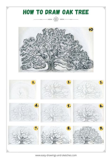 Learn how to draw an Angel Oak Tree in simple steps Angel Oak Tree Drawing, Drawing Oak Tree, Oak Tree Drawing Sketch, Live Oak Tree Tattoo, Draw An Angel, Trees Art Drawing, Oak Tree Painting, Oak Tree Drawings, Angel Oak Tree