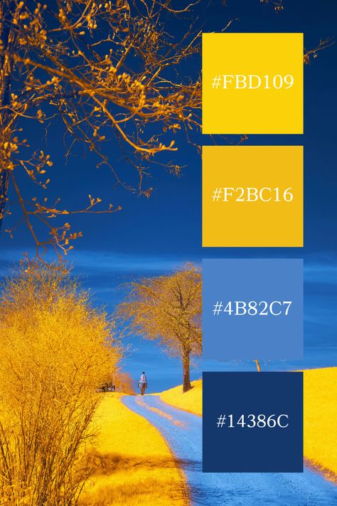 A scenic landscape with a winding path flanked by bright yellow fields and trees, set against a deep blue sky. The striking combination of vivid blue and yellow creates a visually dynamic and vibrant color palette. Royal Blue And Yellow Color Palette, Blue Yellow Color Palette, Blue And Yellow Palette, Color Scheme Generator, Yellow Color Palette, Yellow Palette, Winding Path, Yellow Fields, Blue Color Combinations