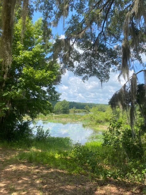 Florida Woods, Florida Fall, Summer Lake, Summer 2024, So Pretty, Dream Life, Vision Board, Nature Photography, Florida