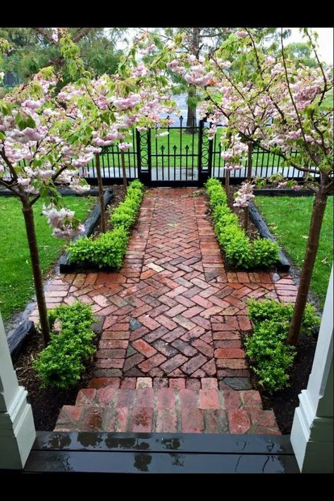 Brick Pathway, Walkway Design, Brick Path, Brick Walkway, Pathway Landscaping, Walkways Paths, نباتات منزلية, Have Inspiration, Garden Pathway