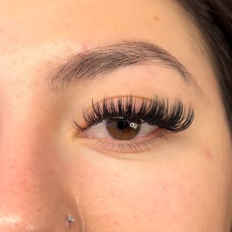 Lashes✨ #lashesanjou #lasheslasheslashes #lashesfordays #megavolumelashes #lashesbyme #russianlashes #3dlashes #lovelashes #foryou #pourtoi #unstagram Lashes Fake Eyelashes, Russian Lashes, Lash Clusters, Pretty Lashes, Extension Ideas, 3d Lashes, Fake Lashes, Fake Eyelashes, Eyelash Extension