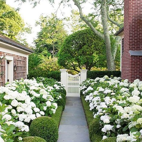 17 Dreamy Hydrangea Gardens That Are Giving Us Major Inspiration Landscaping Around Pool, Pathway Landscaping, Small Front Yard Landscaping, Driveway Landscaping, Hydrangea Garden, Hydrangea Paniculata, Garden Pictures, Creative Gardening, Front Yard Garden