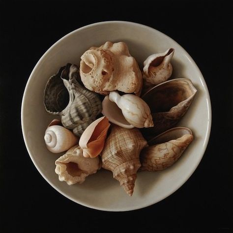 Antonio Cazorla Ideas Cuadros, Still Life 2, Forms Of Poetry, Shell Game, Hyper Realistic Paintings, Black Painting, Seashell Painting, Spanish Painters, She Sells Seashells