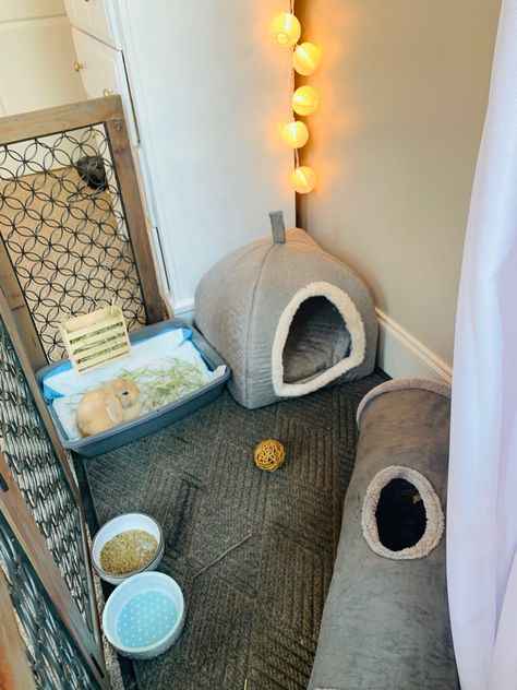 Small Bunny Cage Ideas, Small Rabbit Cage Ideas, Small Rabbit Cage, Free Roam Rabbit Set Up In Bedroom, Small Bunny Cage, Cute Bunny Set Up, Indoor Bunny Setup Small Space, Bunny Indoor Set Up, Bunny Care For Beginners