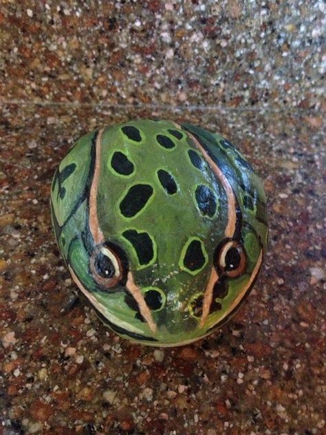 top-16-realistic-rock-paintings-art-decor-design-easy-diy-drawing-craft-project (3) Caillou Roche, Frog Rock, Painted Rock Animals, Art Pierre, Rock And Pebbles, Painted Rocks Diy, Rock Painting Patterns, Paint Rock, Pet Rocks