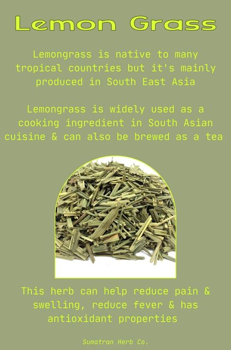 Unlock the soothing benefits of lemongrass tea, a fragrant brew known for its refreshing taste and wellness properties. This herbal infusion is not only a delightful way to unwind but also a powerhouse of antioxidants and essential nutrients. From aiding digestion to boosting immunity, lemongrass tea is a versatile addition to your daily routine. Perfect for a calming evening ritual or a revitalizing morning start, explore how this aromatic tea can enhance your well-being. Fever Few Benefits, Herbs To Reduce Fever, Lemongrass Plant Benefits Of, Herbal Fever Reducer, Herbs To Reduce Swelling, Fever Reducing Herbs, Lemongrass Benefits Teas, Herbs For Swelling, Herbs For Fever