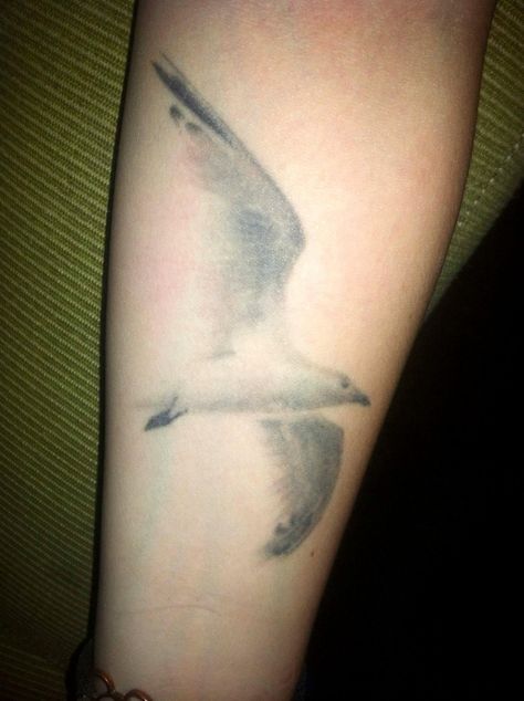 Love the no outline tattoos, so pretty Seagull Tattoo Design, Sea Gull Tattoo, Seagull Tattoo, Omerta Tattoo, Body Is A Temple, Tattoo Project, Tattoo Outline, Cover Up Tattoos, Birds Tattoo