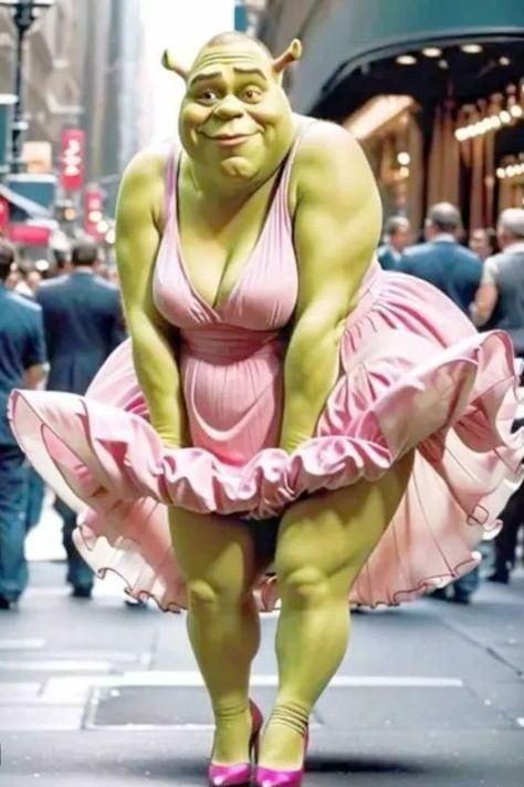 Shrek Funny, Cute Funny Pics, Funny Pix, Crazy Funny Pictures, Goofy Pictures, Very Funny Pictures, Extremely Funny Jokes, Goofy Ahh, Funny Profile Pictures