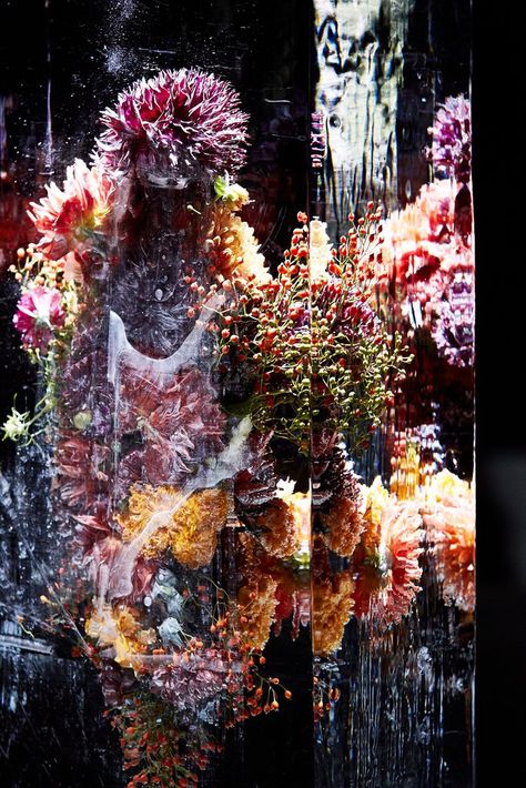 Dries van noten Makoto Azuma, Iced Flowers, Azuma Makoto, Frozen Flowers, Art With Flowers, Ice Luge, Floral Ice, Ice Sculptures, Japanese Artists