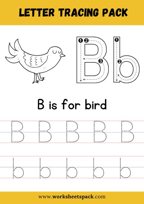 B is for Bird Coloring, Free Letter B Tracing Worksheet PDF - Printable and Online Worksheets Pack Bird Worksheets Preschool Free Printable, Letter B Worksheets For Kindergarten, Letter B Tracing Worksheet, Letter B Worksheets For Preschool, B Tracing Worksheet, Kindergarten Vocabulary Words, Bird Worksheet, Letter B Worksheet, Letter B Tracing