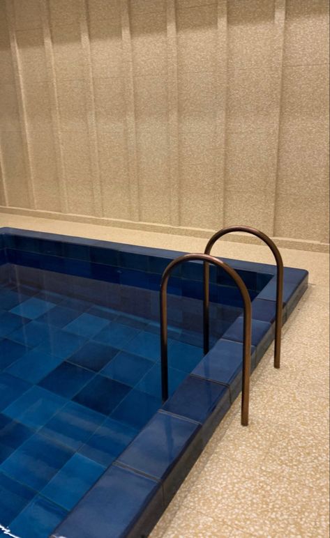 Modern Pool Railing, Pool Ladder Ideas, Pool Railing, Ibiza Garden, Pool Handrail, Pool Ladders, Pool Stairs, Beautiful Swimming Pools, Pool Rails