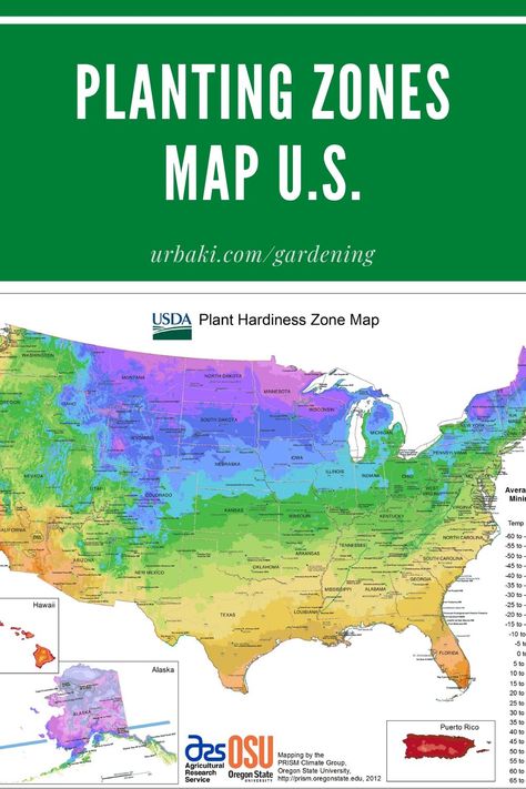 The USDA Hardiness Zone Map divides North America into 11 separate planting zones; each growing zone is 10°F warmer (or colder) in an average winter than the adjacent zone.  If you see a hardiness zone in a gardening catalog or plant description, chances are it refers to this USDA map.  #planting #gardening #zonesmap #plantingzonesusa #urbakigardening Usda Hardiness Zone Map, Growing Zones Map United States, Plant Zones Map United States, Planting Zones Map United States, Zone 10 Gardening, Growing Zones Map, Planting Zones Map, Planting Zones, Plant Hardiness Zone Map