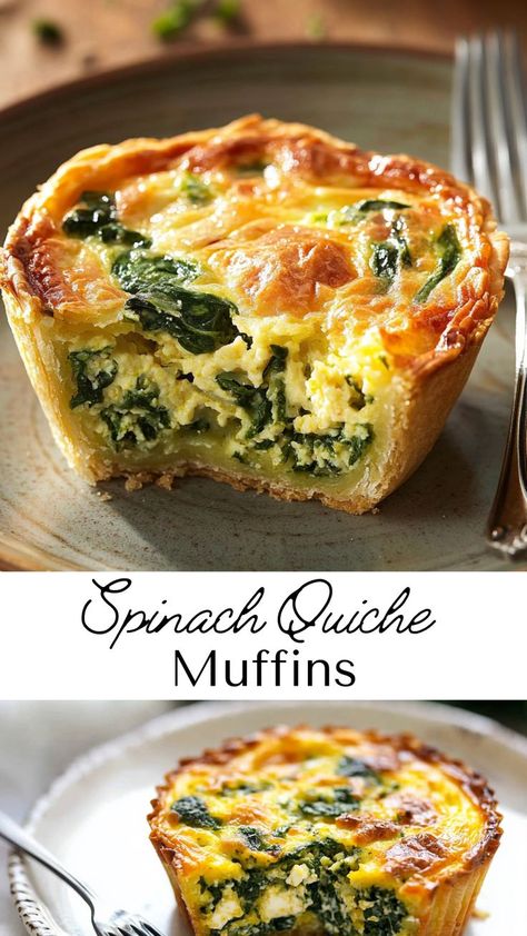 These Spinach Quiche Muffins are the ultimate addition to your winter dinner recipes. Made with fresh spinach, creamy cheese, and fluffy eggs, they’re perfect for Friendsgiving food ideas, brunches, or winter meals dinners. Enjoy them as a wholesome snack or pair them with soup for a hearty meal. Single Serve Quiche, Quiche Muffin Tin, Mini Spinach Quiche Recipes Easy, Spinach Quiche Muffins, Spinach Egg Pie, Easy Vegetarian Quiche, Quiche Recipes Goat Cheese, Quiche Recipes Veggie, Quick And Easy Quiche Recipes