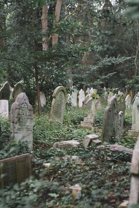 Small English Town Aesthetic, Environment Illustration, Gothic Academia, Old Cemetery, Setting Inspiration, Growth And Decay, Dark Green Aesthetic, Old Cemeteries, Random Aesthetic